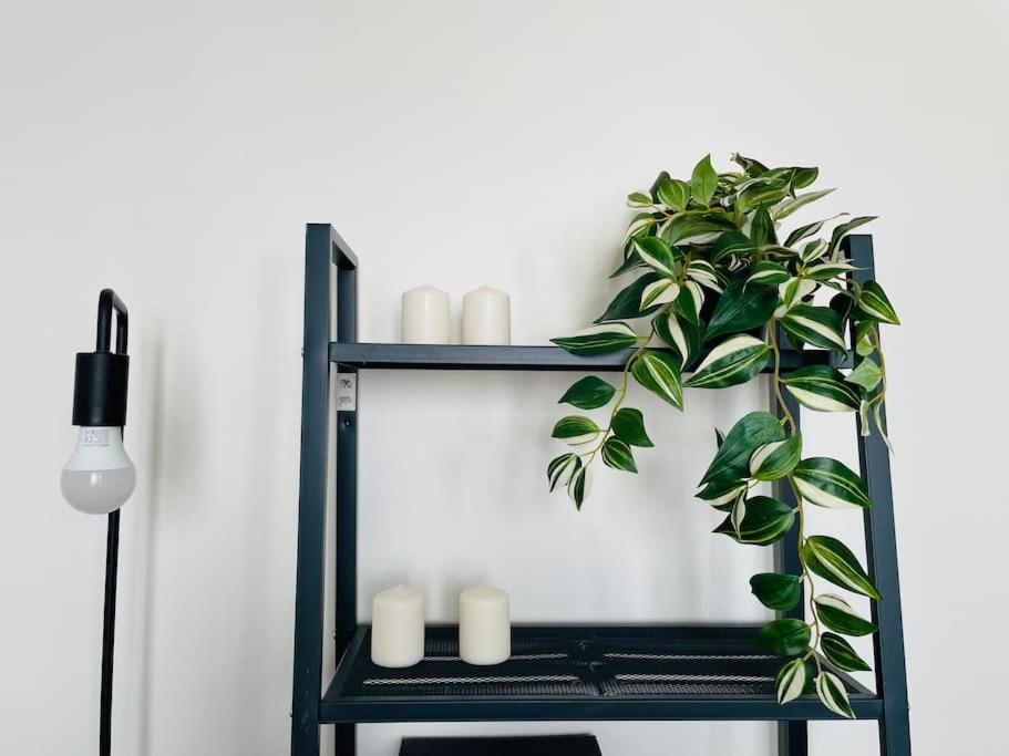 Charming & Cocooning Flat - Canal De L'Ourq بونتا المظهر الخارجي الصورة